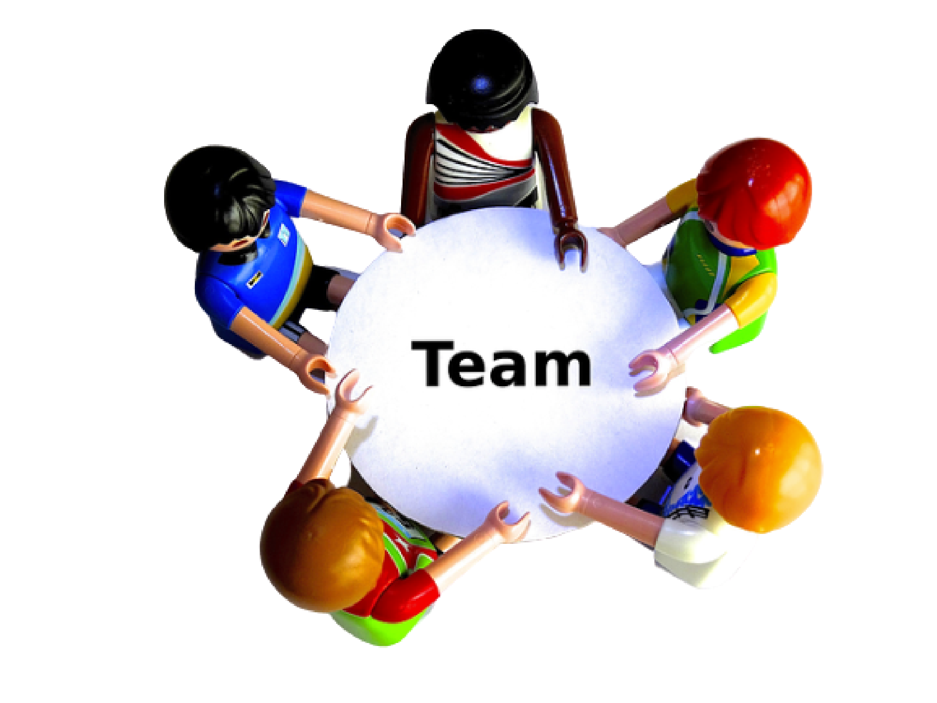 About Team